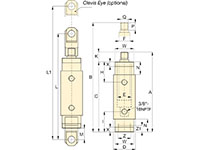 Dimensions Diagram